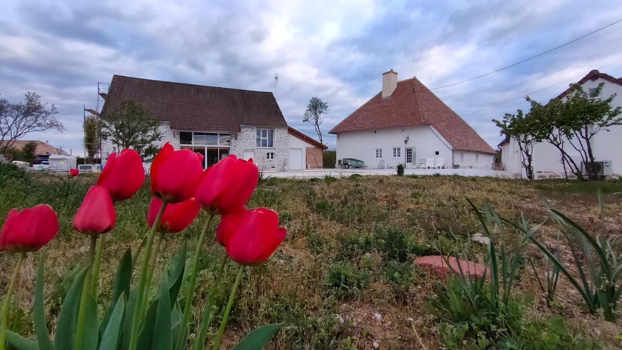 Апартаменти Domaine Ravy-Magnolia Saint-Symphorien-sur-Saone Екстер'єр фото